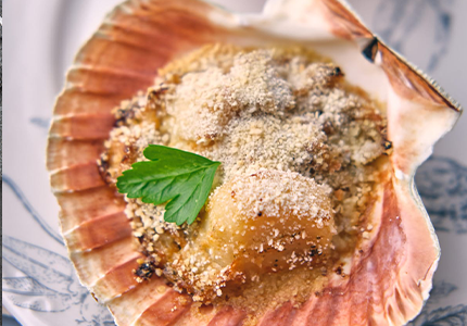 Coquilles Saint-Jacques